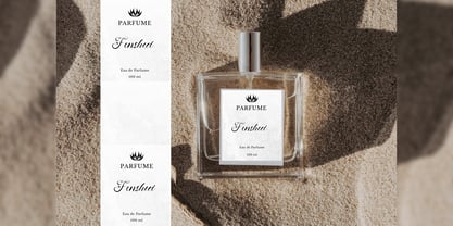 Fenshui Font Poster 11