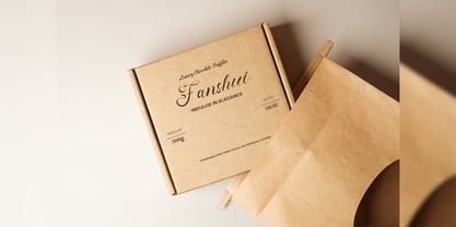 Fenshui Font Poster 15