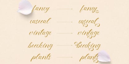 Fenshui Font Poster 10