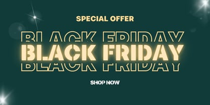 Zoldora Font Poster 3