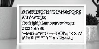 Quick Bean Font Poster 4