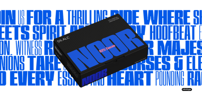 Graxor Font Poster 7