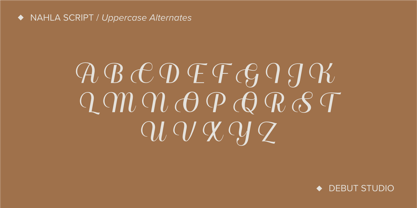 Nahla Script Regular Font Poster 7