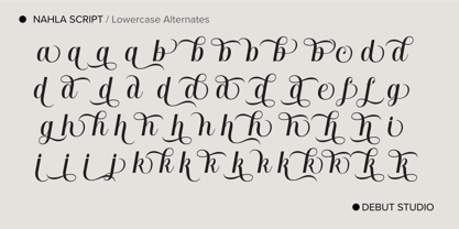 Nahla Script Regular Font Poster 8