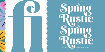 Spring Rustic Font Poster 13