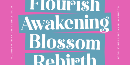 Spring Rustic Font Poster 7