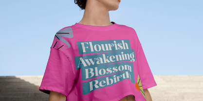 Spring Rustic Font Poster 4