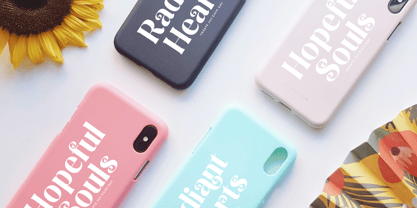 Spring Rustic Font Poster 8