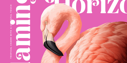 Spring Rustic Font Poster 10