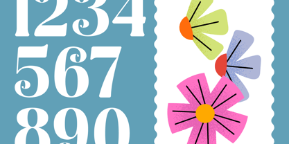 Spring Rustic Font Poster 9