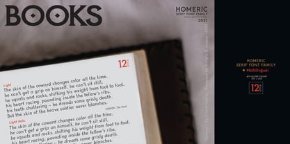 Homeric Font Poster 8