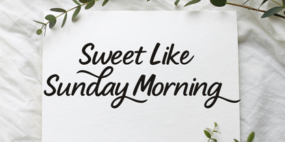 Blueberry snack Font Poster 2