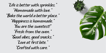 Blueberry snack Font Poster 6