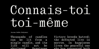 Monogert Font Poster 12