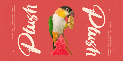 Huntail Peach Font Poster 9