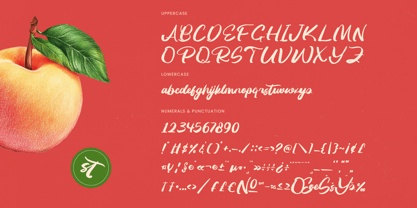 Huntail Peach Font Poster 14