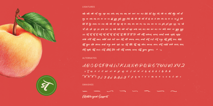 Huntail Peach Font Poster 15