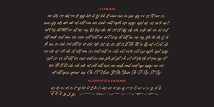 Vintage Bilbesto Font Poster 15