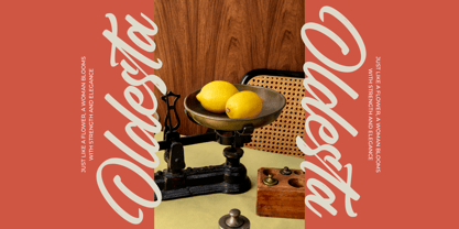 Vintage Bilbesto Font Poster 12