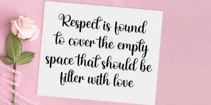 Hey Basley Script Font Poster 2