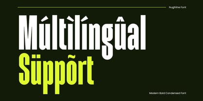 Nughile Font Poster 13