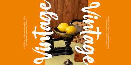 Interest Explore Font Poster 3