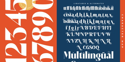 Royale Marigo Font Poster 14