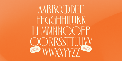 Zamilah Font Poster 10