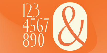 Zamilah Font Poster 13