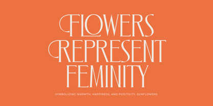 Zamilah Font Poster 7