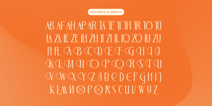 Zamilah Font Poster 14