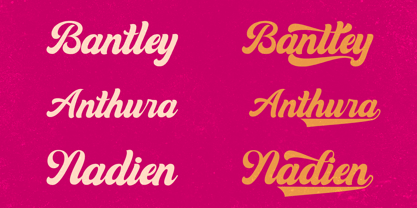 Magenta Vintage Font Poster 2
