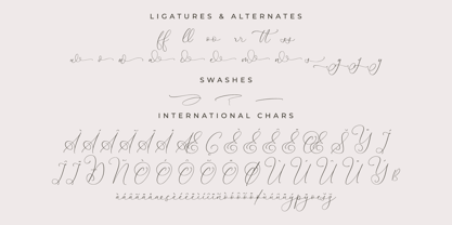 Senorytta Font Poster 8