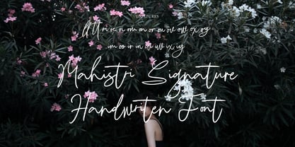 Mahistri Signature Font Poster 10