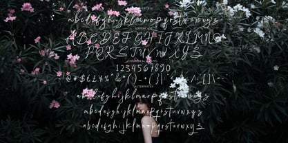 Mahistri Signature Font Poster 9