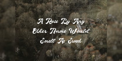 Quaty Heart Font Poster 6