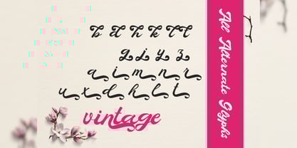 Quaty Heart Font Poster 5