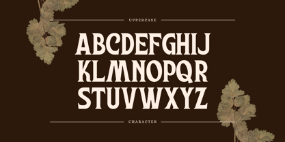 Rouzel Vintage Font Poster 6