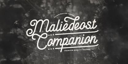 Anelka Fambuya Font Poster 2