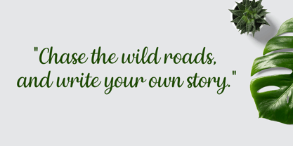 Elvaira Font Poster 4