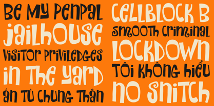 Mikey Mugshot Font Poster 2