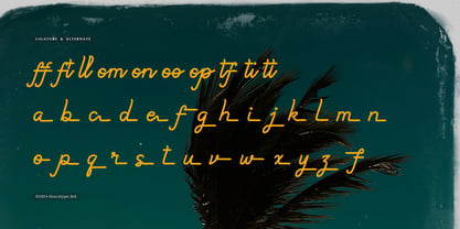 Paradise Gallaiso Font Poster 12