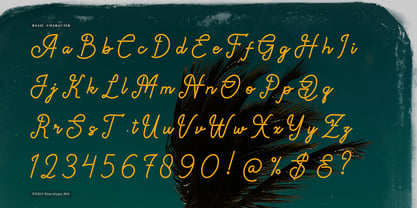 Paradise Gallaiso Font Poster 10