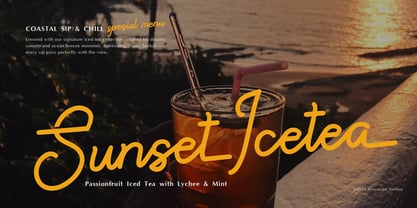 Paradise Gallaiso Font Poster 3