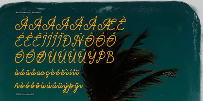 Paradise Gallaiso Font Poster 11