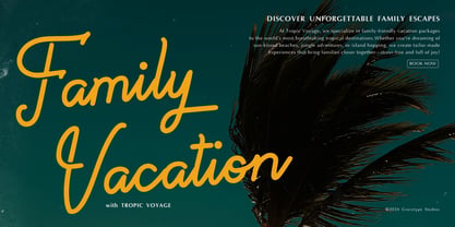 Paradise Gallaiso Font Poster 2