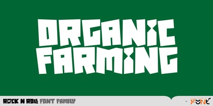 Rock n Roll Font Poster 9