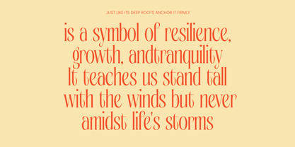 Bagena Mathew Font Poster 5