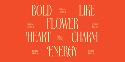 Bagena Mathew Font Poster 4