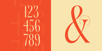 Bagena Mathew Font Poster 10